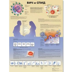 VR6725L_01_Медицинский-плакат-ВИЧ-и-СПИД