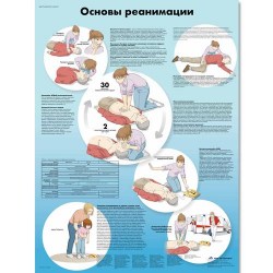 VR6770L_01_Медицинский-плакат-Основы-реанимации