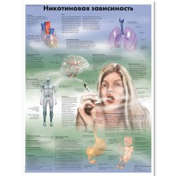 VR6793L_01_Медицинский-плакат-Никотиновая-зависимость